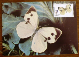 ACORES PORTUGAL Papillons, Butterflies, Mariposas, SCHMETTERLINGE, Yvert N° 355 FDC, Carte Maximum, Maximum Card - Butterflies