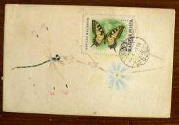 HONGRIE Papillons, Papillon, Butterflies, Mariposas, SCHMETTERLINGE, Yvert N° 1321 FDC, Carte Maximum, Maximum Card - Butterflies