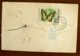 HONGRIE Papillons, Papillon, Butterflies, Mariposas, SCHMETTERLINGE, Yvert N° 1321 FDC, Carte Maximum, Maximum Card - Papillons