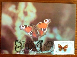 ROUMANIE Papillons, Butterflies, Mariposas, SCHMETTERLINGE, Yvert N° 3587 FDC, Carte Maximum, Maximum Card - Butterflies