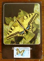 ROUMANIE Papillons, Butterflies, Mariposas, SCHMETTERLINGE, Yvert N° 3588 FDC, Carte Maximum, Maximum Card - Papillons