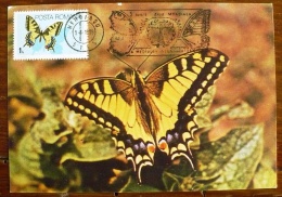 ROUMANIE Papillons, Butterflies, Mariposas, SCHMETTERLINGE, Yvert N° 3588 FDC, Carte Maximum, Maximum Card - Butterflies