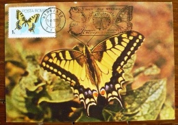 ROUMANIE Papillons, Butterflies, Mariposas, SCHMETTERLINGE, Yvert N° 3588 FDC, Carte Maximum, Maximum Card - Papillons