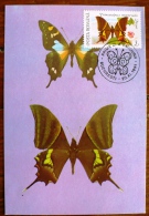 ROUMANIE Papillons, Butterflies, Mariposas, SCHMETTERLINGE, Issu Des BF YVERT 213/14 FDC, Carte Maximum, Maximum Card 2 - Mariposas