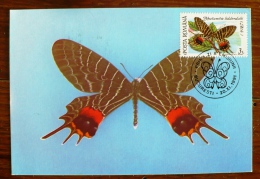 ROUMANIE Papillons, Butterflies, Mariposas, SCHMETTERLINGE, Issu Des BF YVERT 213/14 FDC, Carte Maximum, Maximum Card 3 - Vlinders