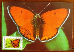 ROUMANIE Papillons, Butterflies, Mariposas, SCHMETTERLINGE, Issu Des BF YVERT 213/14 FDC, Carte Maximum, Maximum Card 4 - Vlinders