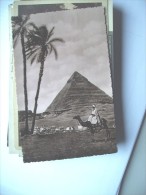 Egypte Egypt Chefren Pyramid - Pyramides