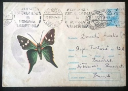 ROUMANIE Papillons, Butterflies, Mariposas, SCHMETTERLINGE, Entier Postal Pour BUCAREST - Mariposas