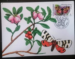 ROUMANIE Papillons, Butterflies, Mariposas, SCHMETTERLINGE, Issu Des BF YVERT 213 FDC, Carte Maximum, Maximum Card 11 - Papillons