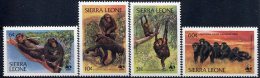 SIERRA LEONE, WWF, Gorilles Yvert N° 553/56 ** Neuf Sans Charniere. MNH. - Neufs