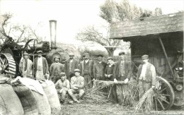 CLWYD - STEAM THRESHING AT LLANELIDAN C1910 (REPRO) Clw-301 - Flintshire