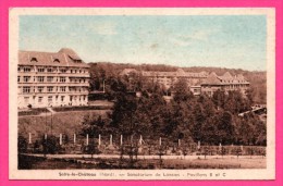 Solre Le Château - Sanatorium De Liessies - Pavillons B Et C - J. MERCIER - Colorisée - Solre Le Chateau