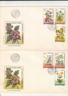 4120FM- HAWTHORN, GENTIAN, ROSE HIPS, BUCKTHORN, BLUEBERRY, WOLF'S BANE, MEDICINAL PLANT, COVER FDC, 2X, 1993, ROMANIA - Geneeskrachtige Planten