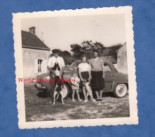 Photo Ancienne Snapshot- Les DARDINIERES Prés SILLE Le GUILLAUME ( Sarthe ) - Famille Enfant Homme Chien Dog Hund - Lugares