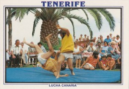 CPM Tenerife, Lucha Canaria - Wrestling