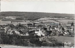 BRINON-SUR-BEUVRON : Vue Générale Prise Du Mont Rouen - Brinon Sur Beuvron