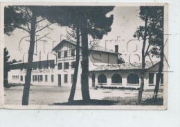 Boucau (64) : L'aérium Hélio-marin De La RATPde Boucau-Tarnos En 1953   PF. - Boucau