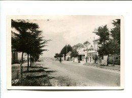 Delcampe - CP - THARON PLAGE (44) AVENUE DE LA PLAGE - Tharon-Plage