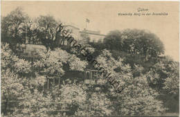 Guben - Kaminsky Berg In Der Baumblüte - Verlag Julius Rothe Guben - Guben