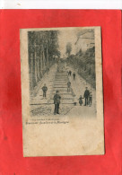 GRAMMONT   /   GERAADSBERGEN   1905  ESCALIERS  DE LA MONTAGNE    CIRC OUI  EDIT - Geraardsbergen