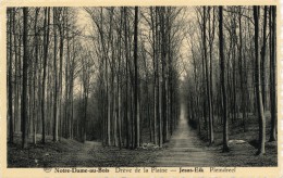 Notre-Dame-au-Bois Drève De La Plaine / Jesus-Eik Pleindreef - Overijse