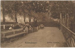 CPA - KELLINGHUSEN - SCHÖNE AUSSICHT - Edition Vahlendick - Kellinghusen