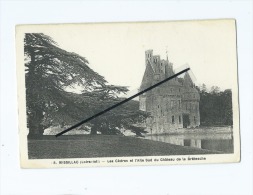CPA -   Missilac   - Les Cèdres Et L'Allée Sud Du Château De La Brétesche - Missillac