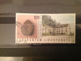 Liechtenstein - Heropening Museum (1.30) 2003 Very Rare! - Usati