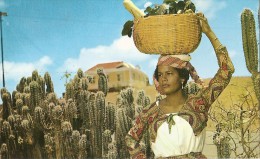 V-NATIVE FRUIT-GIRL-CURACAO N.A. - Amerika