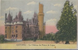 ANTOING   -   Le Château Du Prince De Ligne  (uit Plakboek) - Antoing