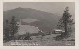 AK Riesengebirge Hofbauden Hofbaude Dvoracky Baude Wolfskamm Bei Rochlitz Rokytnice Sahlenbach Kaltenberg Seifenbach - Sudeten