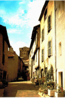 Delcampe - Blesle Rue De La Vachoune Et Tour - Blesle