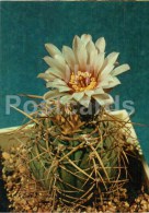 Gymnocalycium Cardenasianum - Cactus - Flowers - 1984 - Russia USSR - Unused - Cactus