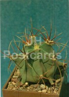 Ferocactus Histrix - Cactus - Flowers - 1984 - Russia USSR - Unused - Cactus