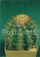Melocactus Bahiensis - Cactus - Flowers - 1984 - Russia USSR - Unused - Cactussen