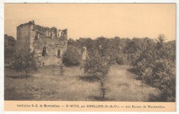 95 - SAINT-WITZ Par Survilliers - Institution N.-D. De Montmelian - Les Ruines De Montmélian - Saint-Witz