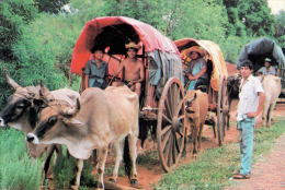 POSTAL PARAGUAY - CARRETA ESTIRADA POR BUEYES - Paraguay