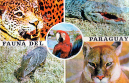 POSTAL PARAGUAY - FAUNA DEL PARAGUAY - Paraguay