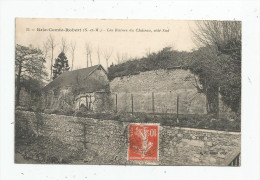 Cp , 77 , BRIE COMTE ROBERT , Les Ruines Du Château , Côté Sud , Voyagée - Brie Comte Robert