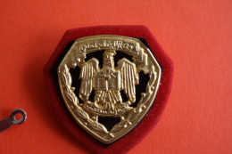 INSIGNE ARMEE EGYPTIENNE EGYPTE+ACCROCHES VESTE /BERET =>BADGE MÉDAILLE INSIGNE MILITAIRE à IDENTIFIER MERCI DE M'AIDER? - Otros & Sin Clasificación