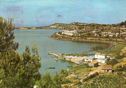 Sigean (Aude) - Vue Générale Sur L´Etang. - Sigean