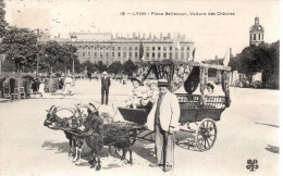 69.....RHONE.....LYON....PLACE BELLECOUR......VOITURE DES CHEVRES - Other & Unclassified