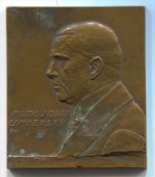 JOSEF LIMBERSKY - Plaque Plakette, Czech Republic, Bronze, D 60 X 55 Mm - Zonder Classificatie