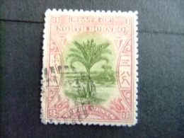 BORNEO DEL NORTE NORTH BORNEO BORNÉO DU NORD 1897 PALMIER SAGO Yvert Nº 75 - Noord Borneo (...-1963)