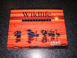 WILDLIFE KAZAKHSTAN Voyage Asie Photographies Photo Nature Animaux Montagne Oiseaux Papillons Loup Gibier Faune - Asia