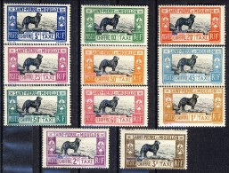 S. Pierre Et Miquelon Tasse 1932 Serie N. 21-31 Cane Terranova MVLH GO Catalogo € 210 - Timbres-taxe