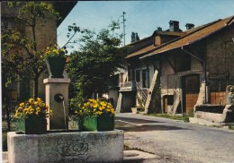 SUISSE---CAMPAGNE GENEVOISE---hermance La Fontaine Bartholomi--voir 2 Scans - Hermance