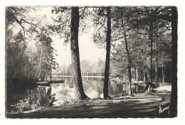 Cp, 94, Fontenay-sous-Bois, Le Lac De La Porte Jaune - Fontenay Sous Bois