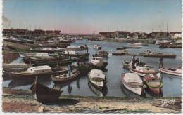 GUJAN MESTRAS  LE GRAND PORT - Gujan-Mestras