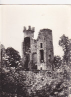 BRESSIEUX Ruines Du Château Féodal - Bressieux